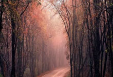 比赛中的挑战让球队攻城拔寨：从试炼走向荣耀