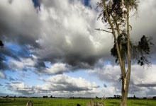 中国飞碟队夺得第一名：一场属于速度与智慧的胜利