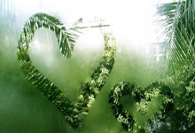 比赛中的挑战让球队攻城拔寨：从试炼走向荣耀