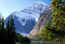 中国飞碟队夺得第一名：一场属于速度与智慧的胜利