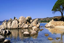 比赛中的挑战让球队攻城拔寨：从试炼走向荣耀