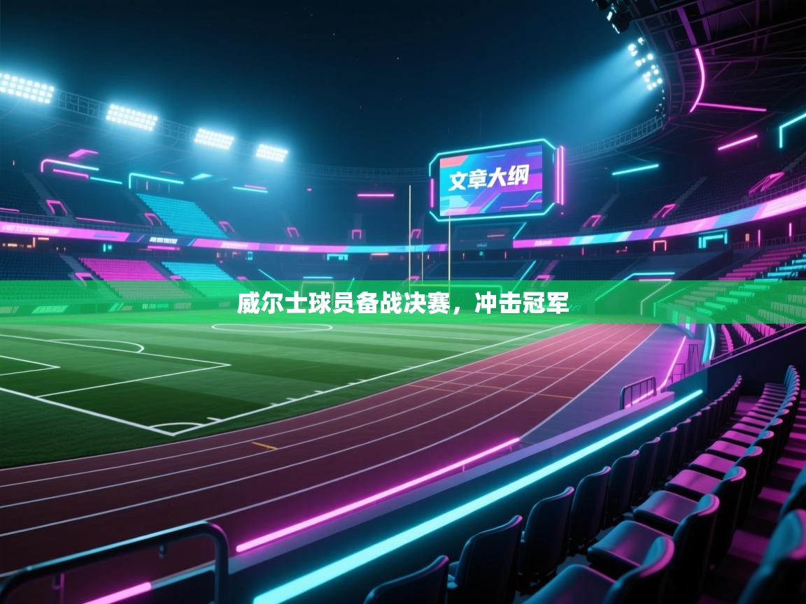 威尔士球员备战决赛,冲击冠军 第2张